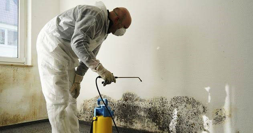The Dangers of Mold Growing in your Home